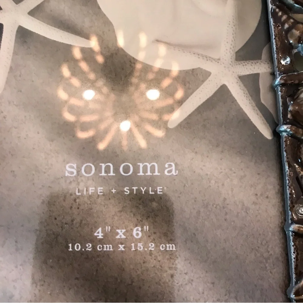 🐚Starfish Metal Frame